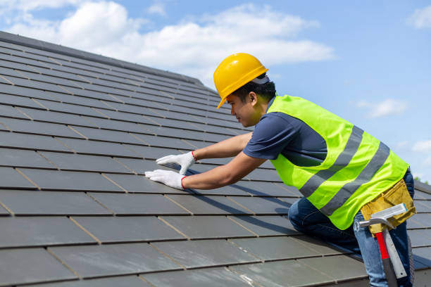 Best Roof Gutter Cleaning  in Essex Junction, VT