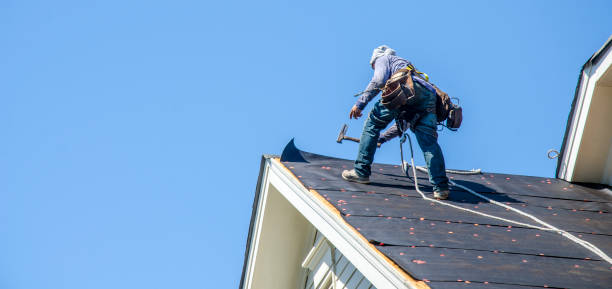 Best Storm Damage Roof Repair  in Essex Junction, VT